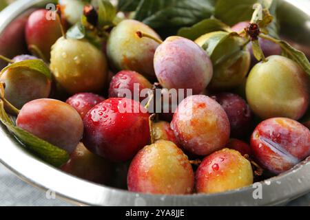 Ripe plums and leaves in colander on table, closeup Stock Photo
