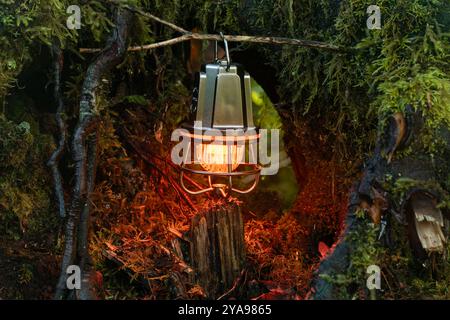 Little hanging lamp provides a warm glow on the moss covered tree stump Stock Photo