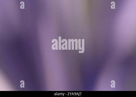 Abstract blurred background or texture of violet and green tones Stock Photo
