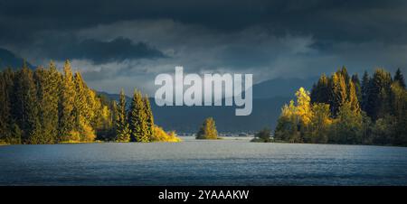Row of sunlit trees in the middle of a beautiful blue lake, with dramatic dark clouds and a single tree in the middle. Panoramic landscape shot in Bav Stock Photo