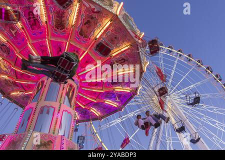 Illuminated chain carousel and Ferris wheel at night with cheerful people, funfair, wave flight, Cannstadter Volksfest, Stuttgart-Bad Cannstsdt, Baden Stock Photo