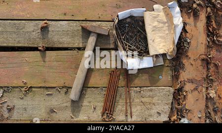 old hammer and paper box with rusty nails lying on textured worn wooden boards sprinkled with withered leaves, abandoned workplace Stock Photo