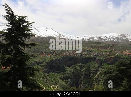 The Lebanese village of Bkerkacha overlooking the Holy Valley of Qadisha with mountain summits covered in snow and.a cedar tree. Stock Photo