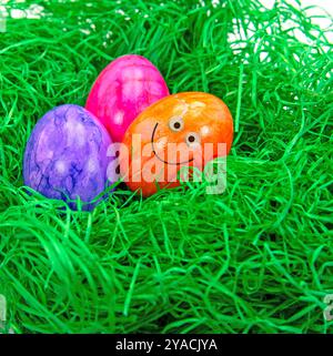 Easter eggs in the grass with a funny face Stock Photo