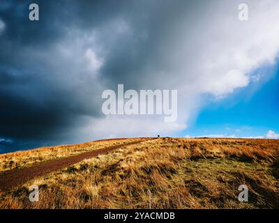 Divis and Black Mountain Nature Trail, Belfast Stock Photo