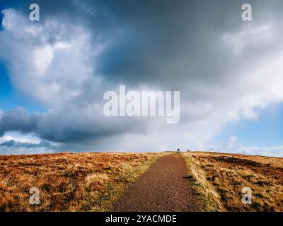 Divis and Black Mountain Nature Trail, Belfast Stock Photo