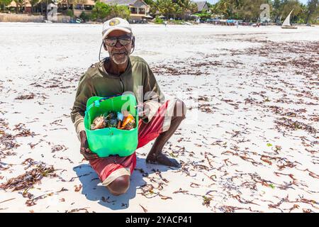 Local man selling sea shells on Diani Beach on the Indian Ocean, , Galu district, Mombasa, south Kenya, Stock Photo