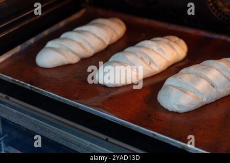 Making bread. Formed loaves in the oven on the oven. High quality photo Stock Photo