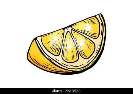 Sketch lemon, slice, engraving and black and white line. Fruit vector isolated on white background  color Stock Vector