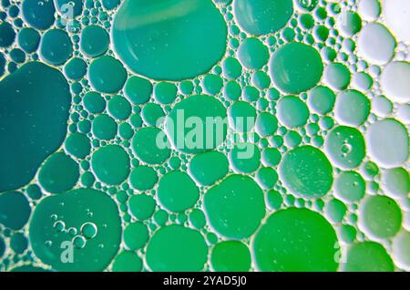 Close-up of oil bubbles suspended on water, creating a hypnotic effect with a soft green gradient background. Stock Photo