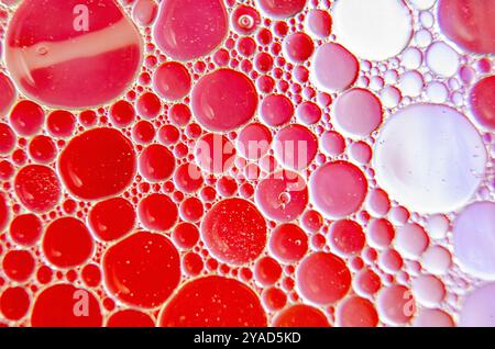 Close-up of oil bubbles suspended on water, creating a hypnotic effect with a soft gradient background. Stock Photo