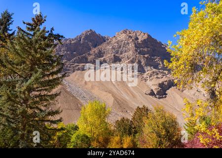 Botanical garden in Khorog city. Khorog is situated along the Pamir Highway in Gorno-Badakhshan, Tajikistan. Stock Photo