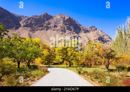 Botanical garden in Khorog city. Khorog is situated along the Pamir Highway in Gorno-Badakhshan, Tajikistan. Stock Photo