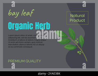 Herbal leaves icons. Organic herb. Natural bay leaf. Green twig. Greengrocery label. Kitchen product. Aromatic spice. Culinary condiment. Cooking seasoning ingredient. Vector marketing banner design Stock Vector