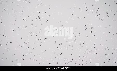 Abstract grey background showing a texture with black and white splashes, creating a speckled effect. Stock Photo