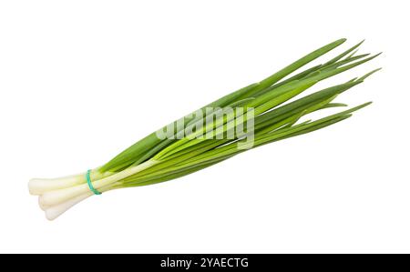young onion scallion path isolated on white Stock Photo