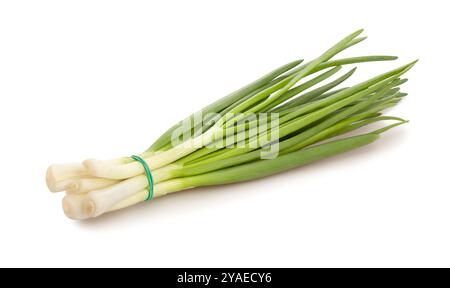 young onion scallion path isolated on white Stock Photo