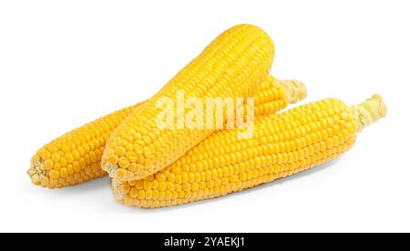 Three fresh ripe corncobs isolated on white Stock Photo