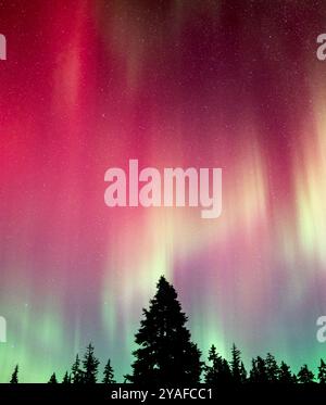 aurora borealis in the north cascades during the 10-10-2024 solar storm Stock Photo