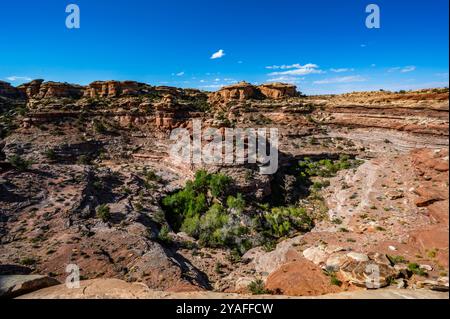 Canyonlands National Park Needles District formations in the fall of 2024 while hiking Stock Photo