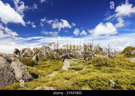 Landscape views at the summit of Porcupine Rocks on the Porcupine Walking Track on a summer's day in Kosciuszko National Park, Snowy Mountains, New So Stock Photo