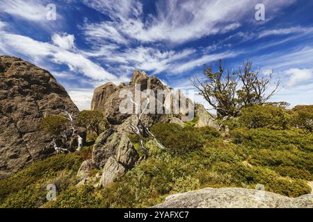 Landscape views at the summit of Porcupine Rocks on the Porcupine Walking Track on a summer's day in Kosciuszko National Park, Snowy Mountains, New So Stock Photo