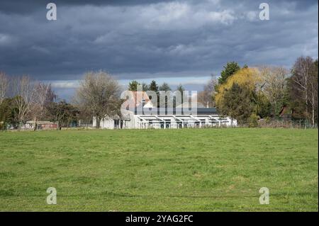 Merchtem, Flemish Brabant Region, Belgium, Feb. 25 2023, Green meadows and glasshouses at a Belgian farm, Europe Stock Photo