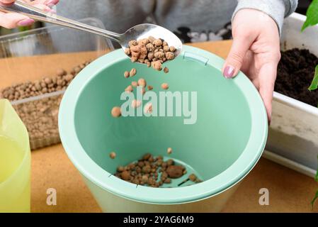 Female hands using spoon to pour clay pebbles into green container on light background, for gardening purposes. Stock Photo