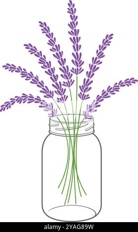 Lavender Plant Bouquet in a Glass Jar Color. Vector Illustration. Stock Vector