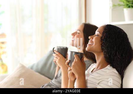 Profile of a happy interracial couple drinking coffee and relaxing sitting on a sofa at home Stock Photo