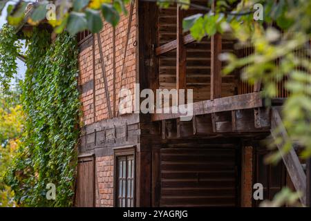Half-timbered wall with red brick and brown wooden beams. Facade of an old farm building in autumn. Stock Photo