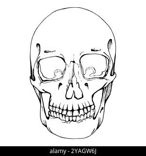 Zombie head or face ink sketch. Walking dead hand drawing vector ...