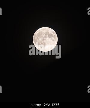 Bright harvest full moon isolated against black night sky. Stock Photo