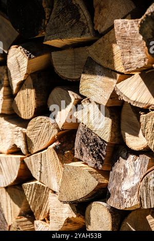 A pile of freshly cut logs stacked in a wood store drying out fro the winter. Stock Photo