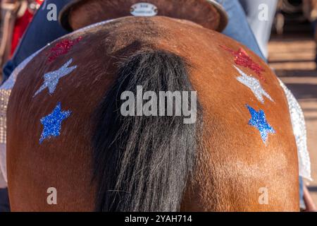 Red, white and blue glitter stars painted on the rump of drill team horse before the Moab Junior Rodeo in Utah. Stock Photo