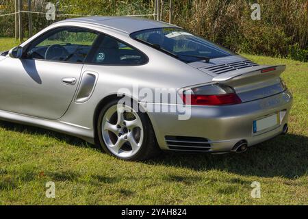 Silver porsche 911 turbo is parked on a lush green grass field, showcasing its sporty elegance Stock Photo