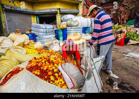 Bundles of colourful marigolds for sale and garlands in Howrah Flower Market in Strand Bank Road, Kolkata (Calcutta), West Bengal, India Stock Photo