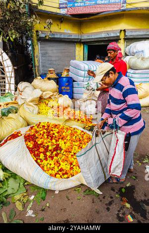 Bundles of colourful marigolds for sale and garlands in Howrah Flower Market in Strand Bank Road, Kolkata (Calcutta), West Bengal, India Stock Photo