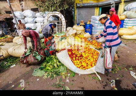 Bundles of colourful marigolds for sale and garlands in Howrah Flower Market in Strand Bank Road, Kolkata (Calcutta), West Bengal, India Stock Photo