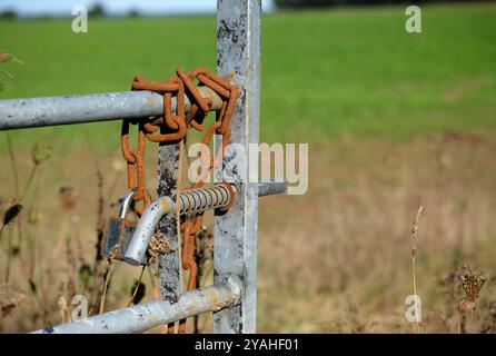 rusty chain and lock on metal farm gate, norfolk, england Stock Photo