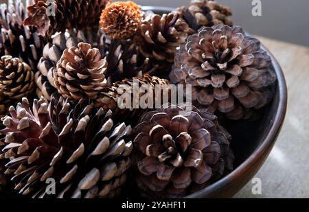various pine cones in wooden bowl on table top Stock Photo