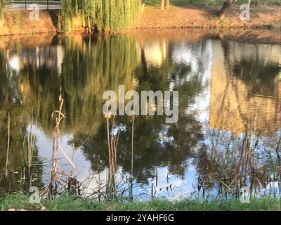 Water surface, reflection, gentle waves, blue background. Stock Photo