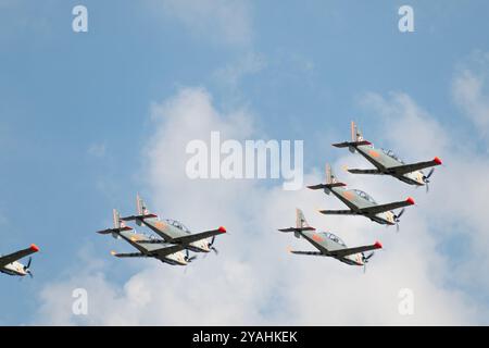 Polish turboprop, single engine, two seat trainer aircrafts in the sky. PZL-130 Orlik. Stock Photo