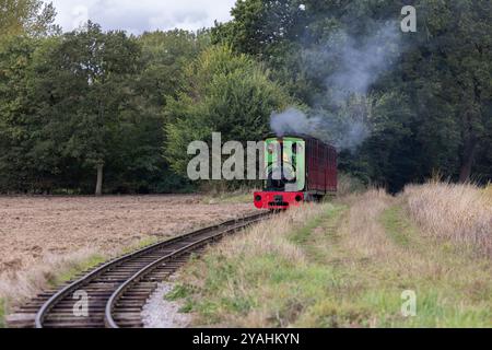 Bressingham Steam Museum & Gardens where huge electric pylons were initially to be erected along the Wortham Ling SSSI, and a popular nature area. Stock Photo