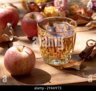 Glass of apple cider and cinnamon stick outdoors on wooden table with red apples, autumn leaves and dried flowers Stock Photo