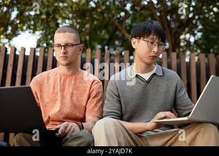 Medium shot of two male IT developers concentrated on writing code on laptops while working together sitting on bench outdoors in city park, copy space Stock Photo