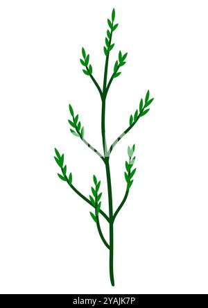 Illustration of stylized twig. Image of dry plant. Stock Vector