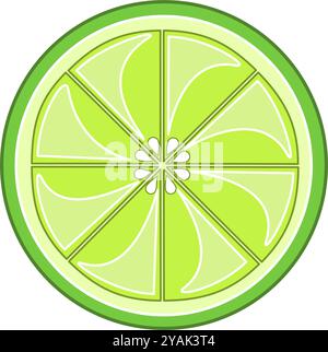Lime fruit slices illustration. Flat vector illustration of lime citrus slices Stock Vector