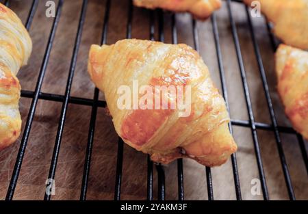 Freshly baked croissants Stock Photo