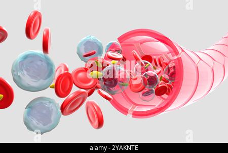3D illustration of artery or vein with the movement of red blood cells ...